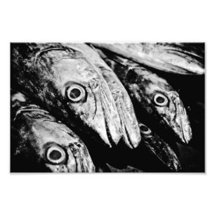 Impression Photo quatre yeux