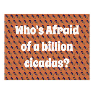 Impression Photo Qui a peur d’un milliard de Cicadas ?