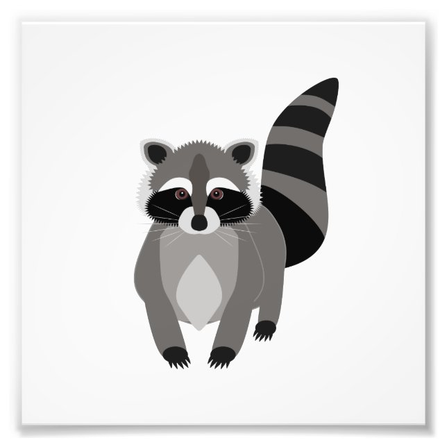Impression Photo Raccoon Rascal (Devant)