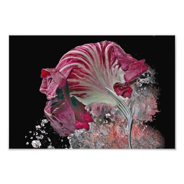 Impression Photo Radicchio (Devant)
