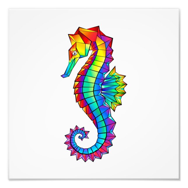 Impression Photo Rainbow Polygonal Seahorse (Devant)