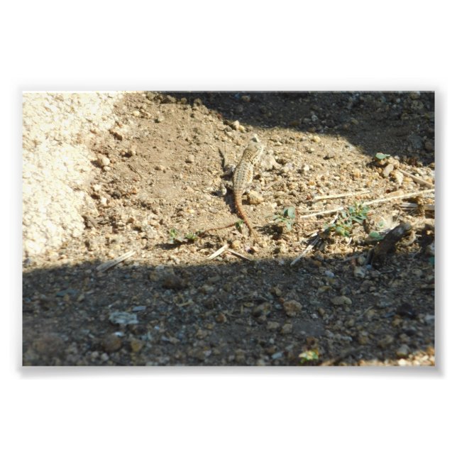 Impression Photo Recherche De Temps De Rêve (Devant)