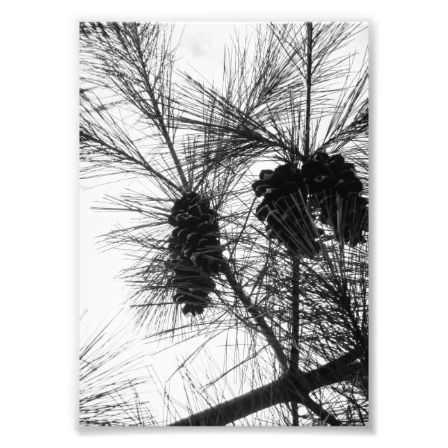 Impression Photo Recherche vers le haut (Devant)