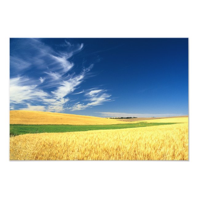 Impression Photo Récolte de blé sur la Palouse dans l'est (Devant)