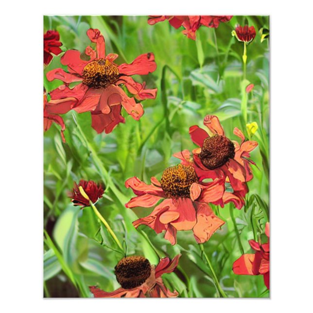 IMPRESSION PHOTO RED RUDBECKIA FLOWERS (Devant)