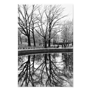 Impression Photo Réflexion des arbres d'hiver à Central Park