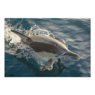 Impression Photo Résident