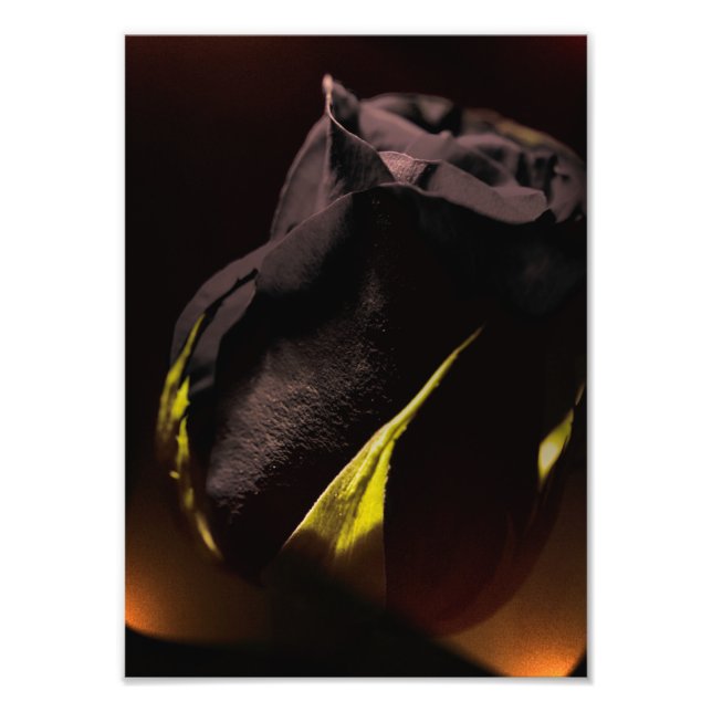 Impression Photo Retour (Devant)