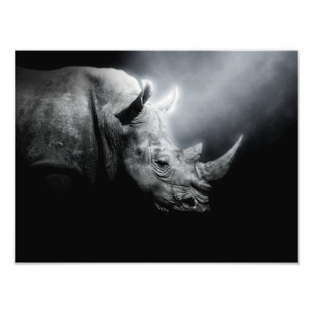 Impression Photo Rhinocéros Animal Forêt Sauvage Jungle Nature Rhin (Devant)