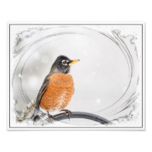 Robin en hiver