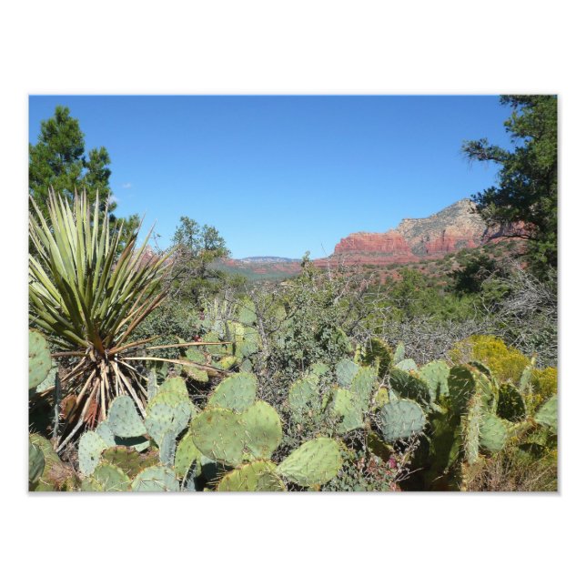 Impression Photo Rochers rouges et cactus I (Devant)