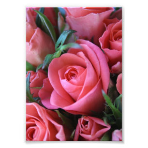 Impression Photo Rose