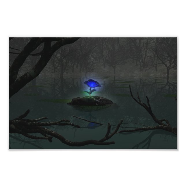 Impression photo Rose bleu (Devant)