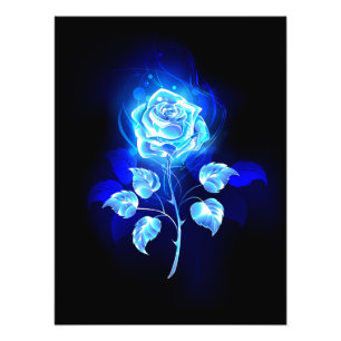 Impression Photo Rose bleu brûlant