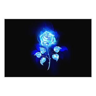 Impression Photo Rose bleu brûlant