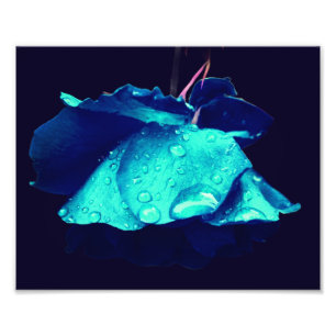 Impression Photo Rose bleu Raindrops Abstrait Fleur Art 8x10