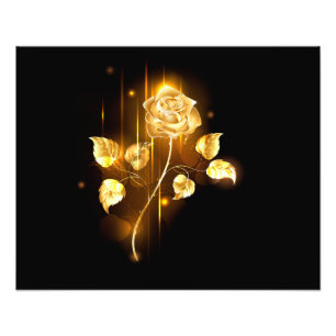 Impression Photo Rose d'or ( rose d'or )