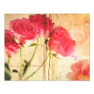 Impression Photo Rose rose Arrière - plan Collage Rose Fleurs