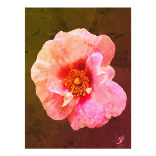 Impression Photo Rose rose avec cœur foncé - peinture à l'huile