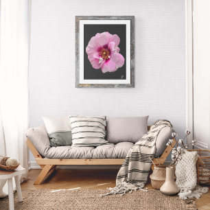 Impression Photo Rose rose avec Cœur Pourpre - peinture à l'huile