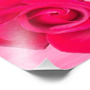 Impression Photo Rose rose romantique rouge