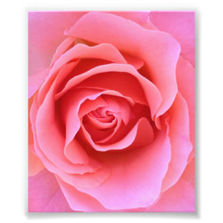 Impression Photo Rose rose rose