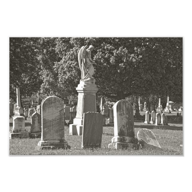 Impression Photo Rosehill III (Devant)