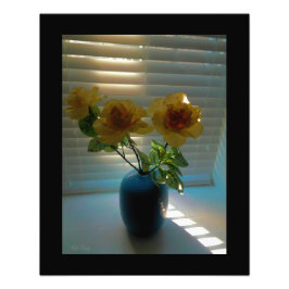 Impression Photo Roses à Sunlight -