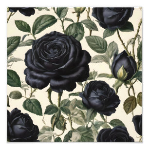 Impression Photo Roses Noirs Et Feuilles Verts,
