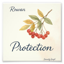 Rowan — Protection | Collection Serenity Script