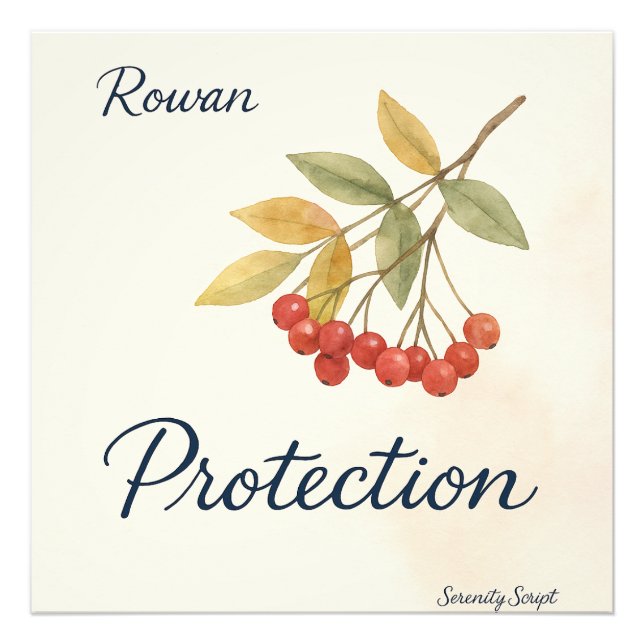 Impression Photo Rowan — Protection | Collection Serenity Script (Devant)