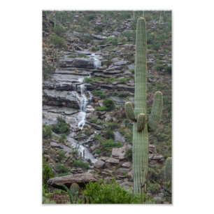 Impression Photo Saguaro avec cascade dans le désert de l'Arizona