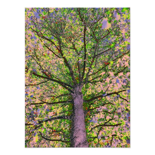 Impression Photo Salade César 15 (Devant)