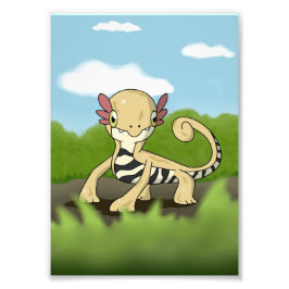 Impression Photo Salamandra