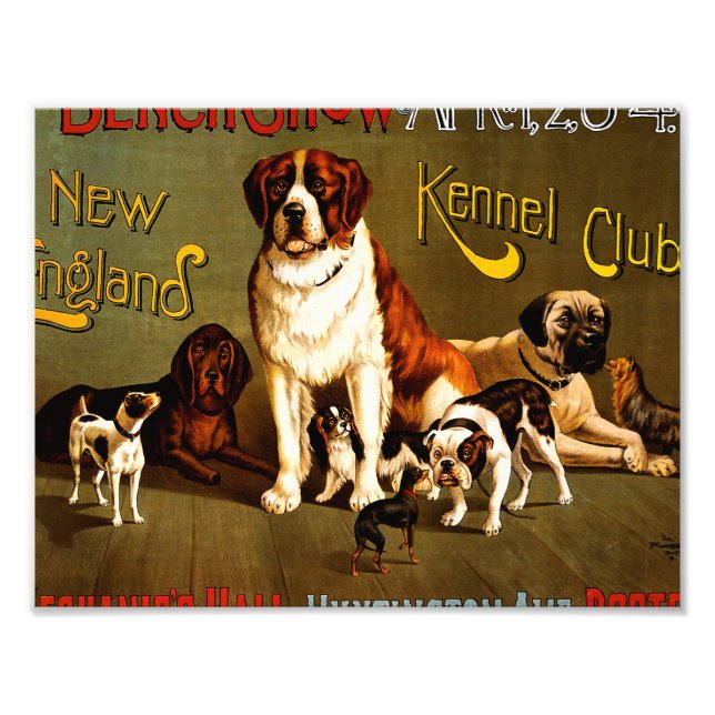 Impression Photo Salon de banc. Club Kennel de la Nouvelle-Angleter (Devant)