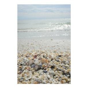Impression Photo Sanibel Shells