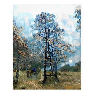 Impression Photo Sapin