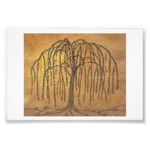 Impression Photo Saule