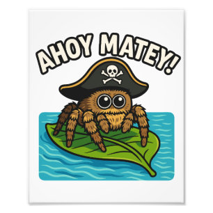 Impression Photo Sauter Pirate Spider Aventure Capitaine Webbeard