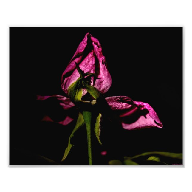 Impression Photo Sauvegarde des ombres (Devant)