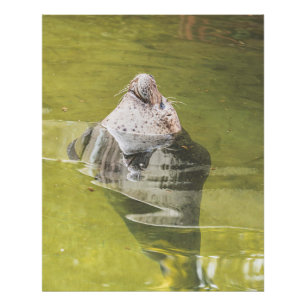 Impression Photo Sceau d'eau