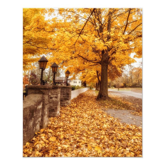 Impression Photo Scène de rue d'automne| Feuilles jaunes (Devant)