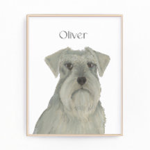 Schnauzer d'argent gris personnalisé