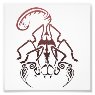 Impression Photo Scorpion Print