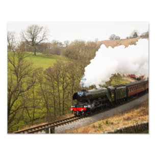 Impression Photo Scotsman de vol chez Goathland