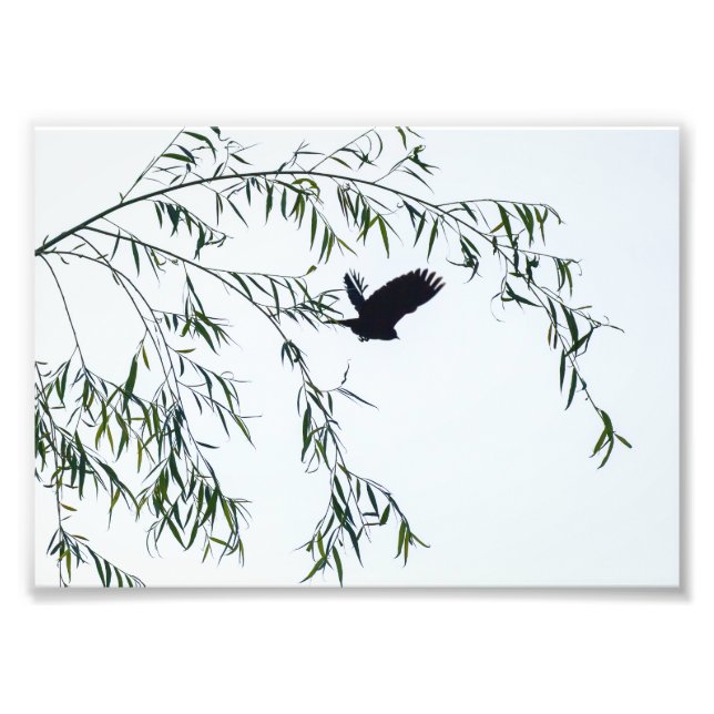 Impression Photo S'envoler (Devant)