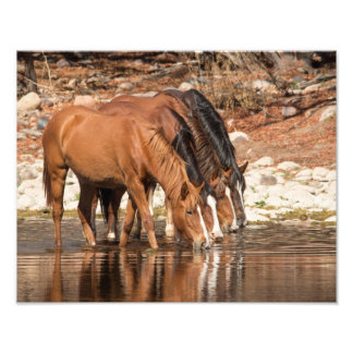 Impression Photo Serendipité