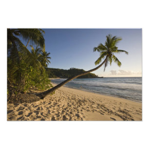 Impression Photo Seychelles, île de Mahe, plage d'Anse Takamaka,