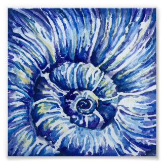 Impression photo Shell Watercolor