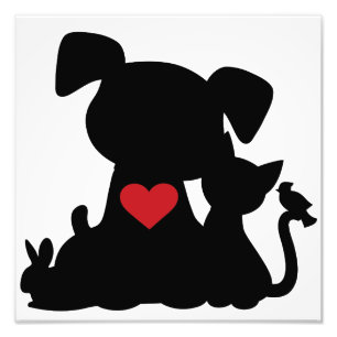 Impression Photo Silhouette de chiot et de chaton d'amour